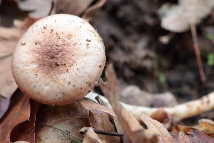 Ritrovamenti di oggi